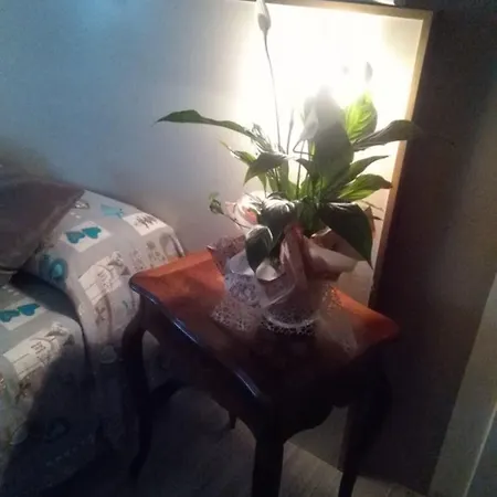 Bed and Breakfast L'arte Cascina (Pisa)